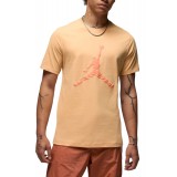 Футболка Air Jordan JORDAN Essentials T-Shirt